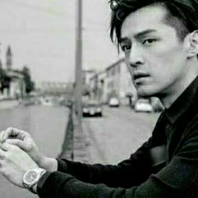 166787 肥西凤清苗木