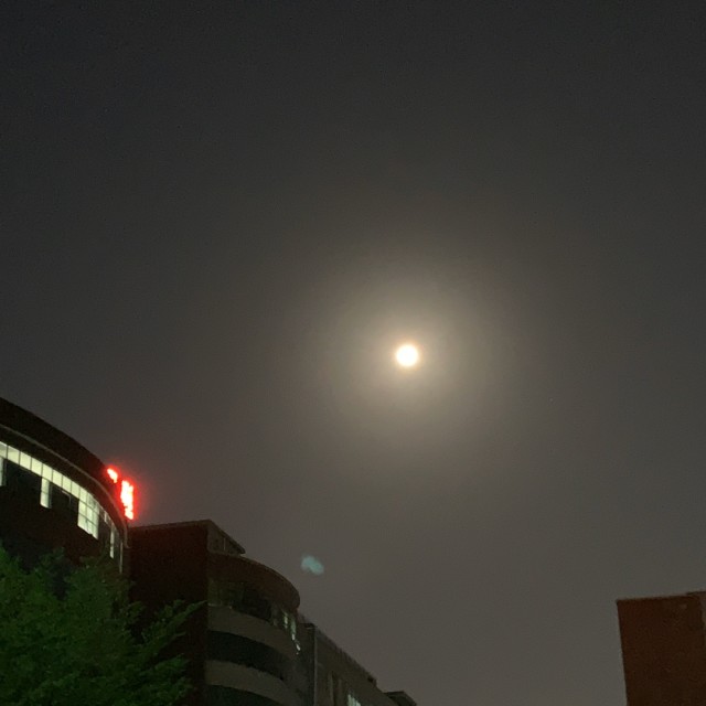 167020 苏