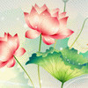 167074 u4ksl4u
