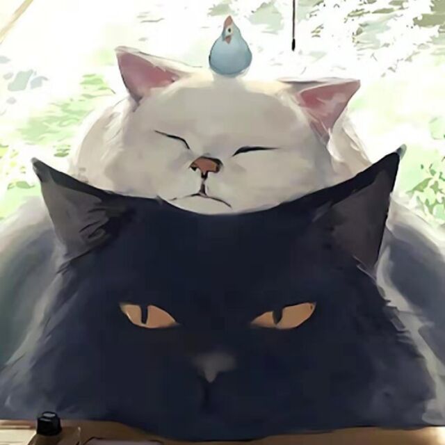 168693 禅