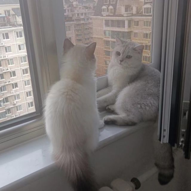 1699817 儒雨