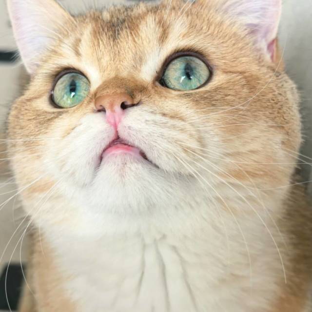 1700101 