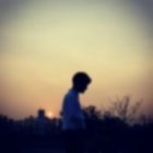 1701177 小尾巴狼