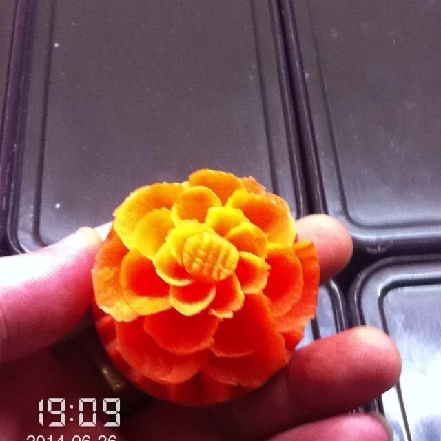 1701877 娟