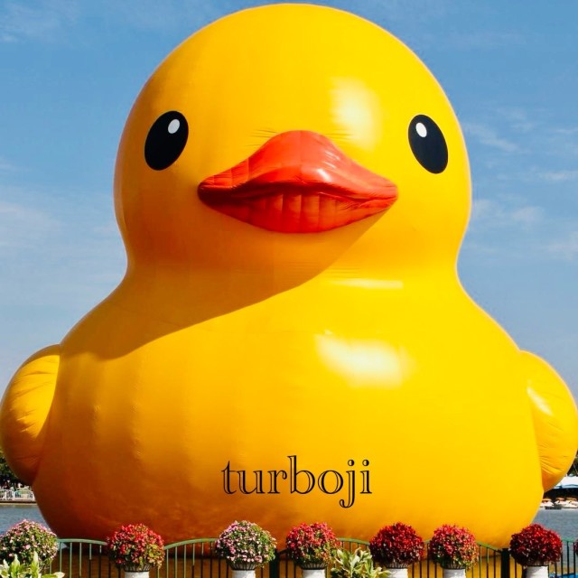 1702289 turbo吉