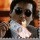 1703114 阿牛