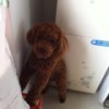 170608 眼镜小温@@