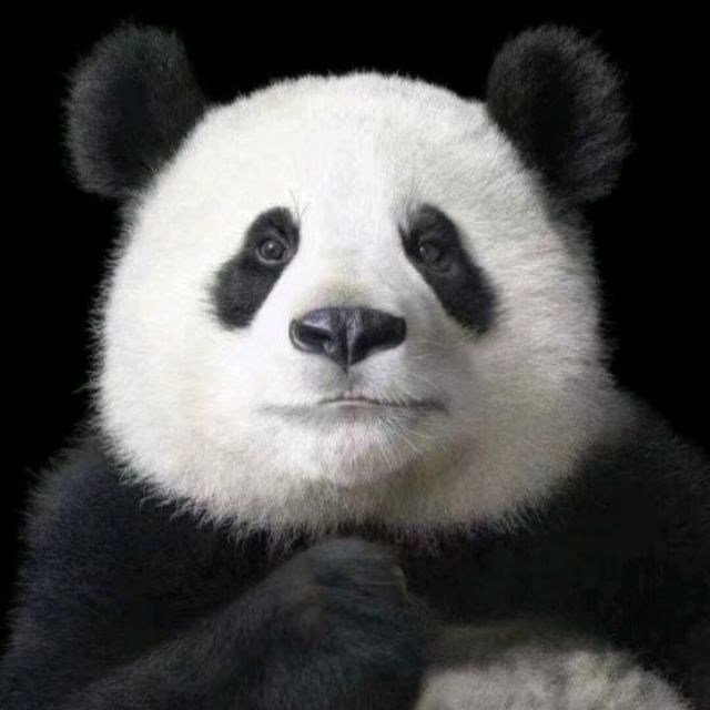 171197 光英似箭