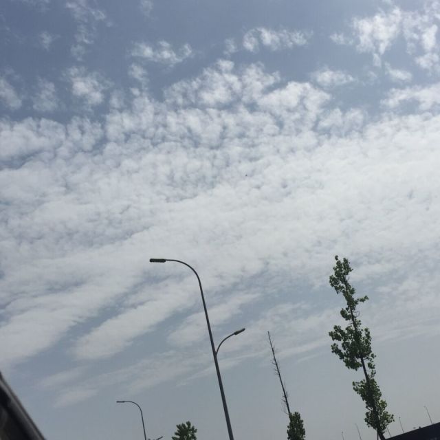 171350 鼠鼠