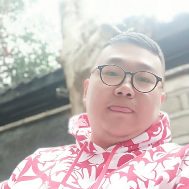 1717296 (๑･㉨･๑)球球