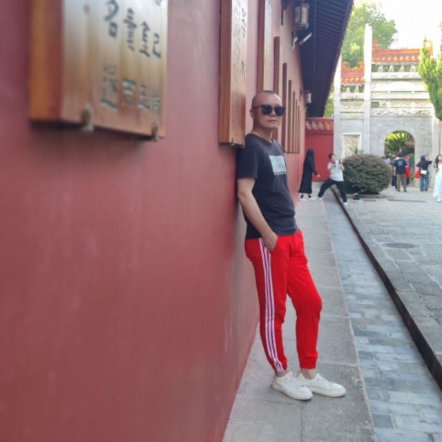 1717511 风之草
