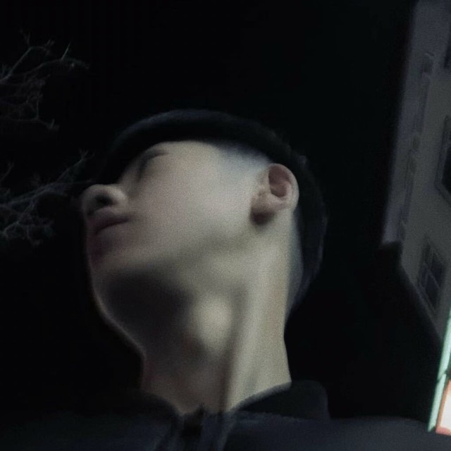 1717608 Z.L