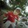 1721358 Terry