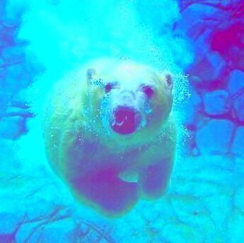 1724301 你可以私聊我阿。