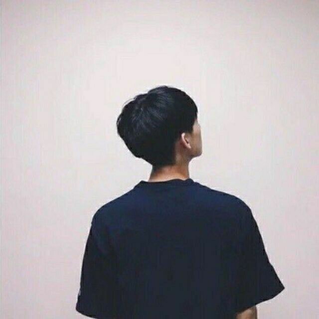 1731823 1731823