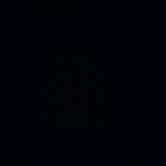1732045 *.*|宝々