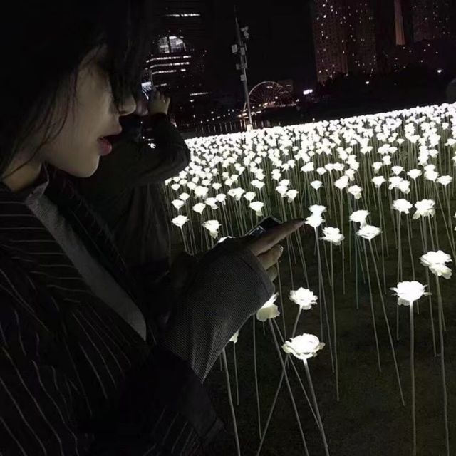 1767227 万人往