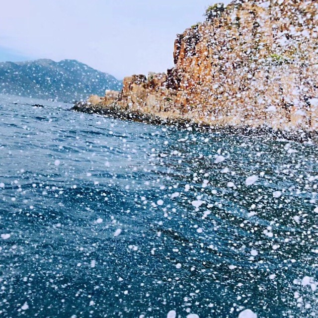 1768020 不客气
