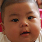 1768161 LIN