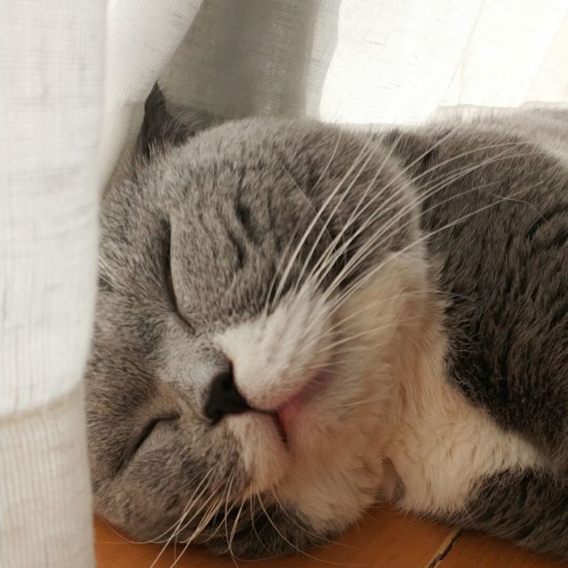 1771475 Ｔ゛aoㄨＺ.i