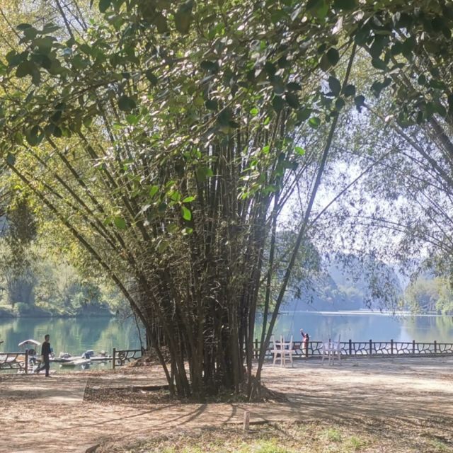 1774680 似水