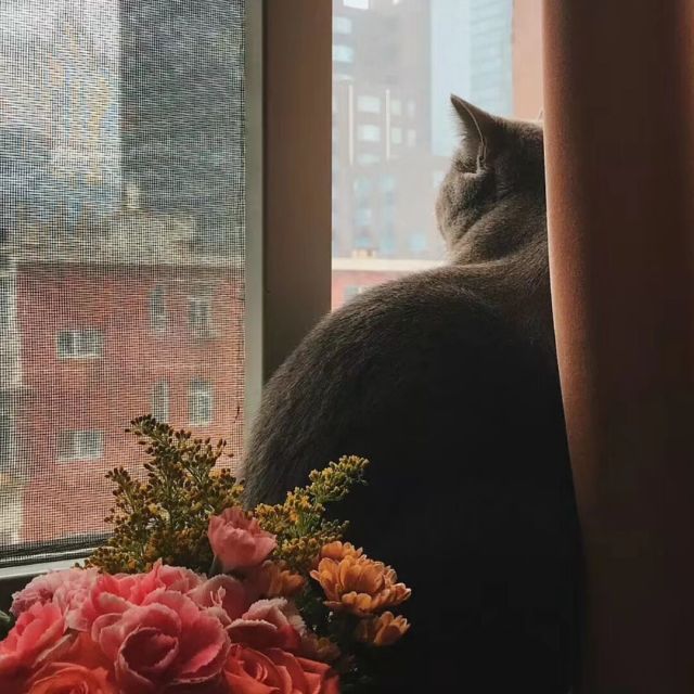 1778164 子凌