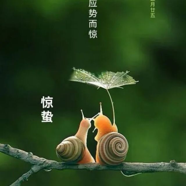 1778978 风景