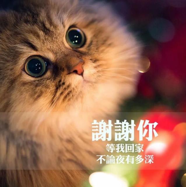 1780100 ╳灬Mr、老继◇