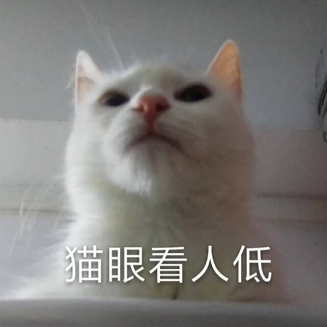 1781269 Mr.Dou