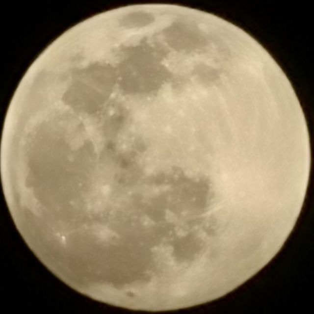 1781369 小宝他爸