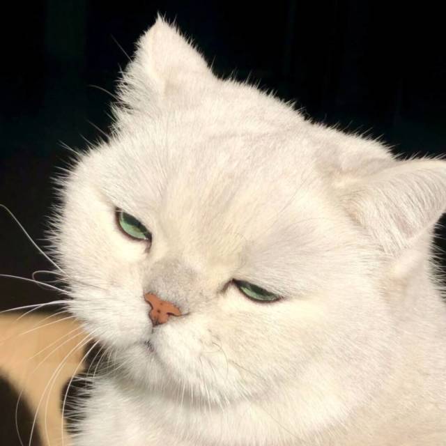 1782163 谁