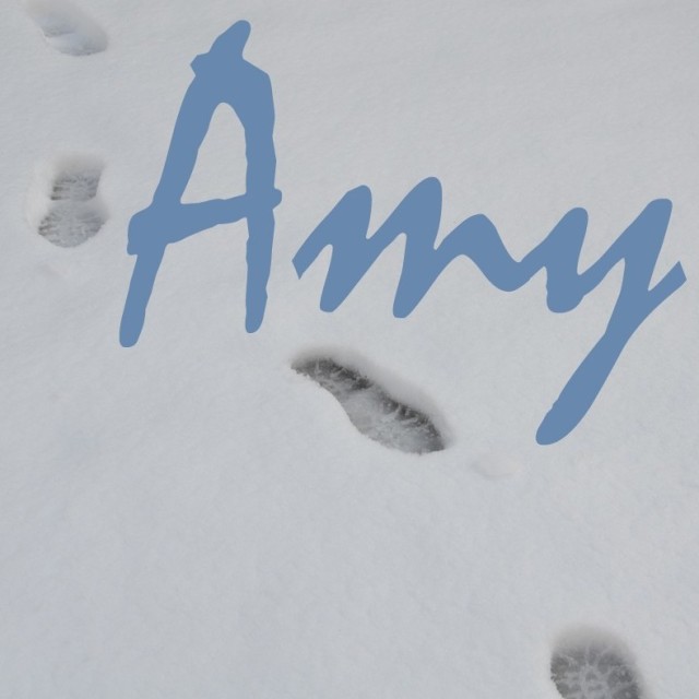 1784193 爱米Amy