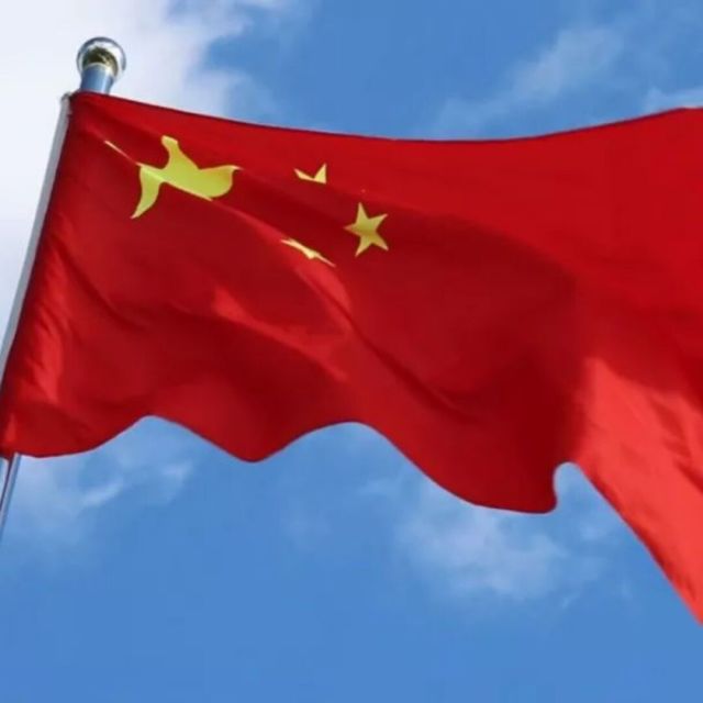 1786567 猪一样的队友