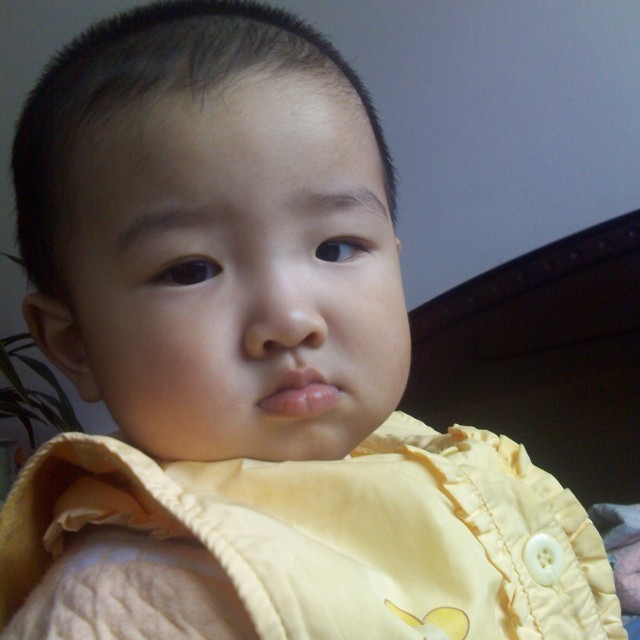 1788371 ⊙bright⊙