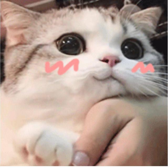 178912829 七分贝的旋律