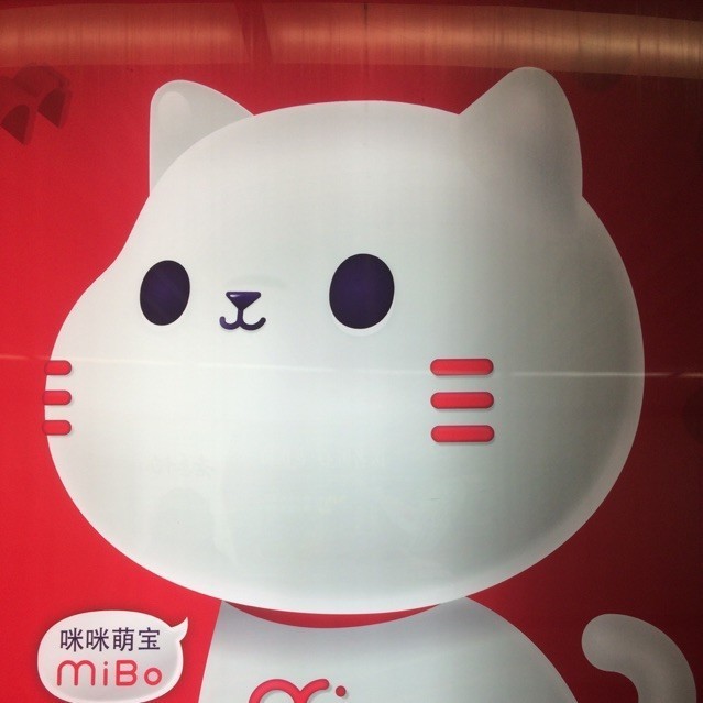 1791118 猫耳朵花