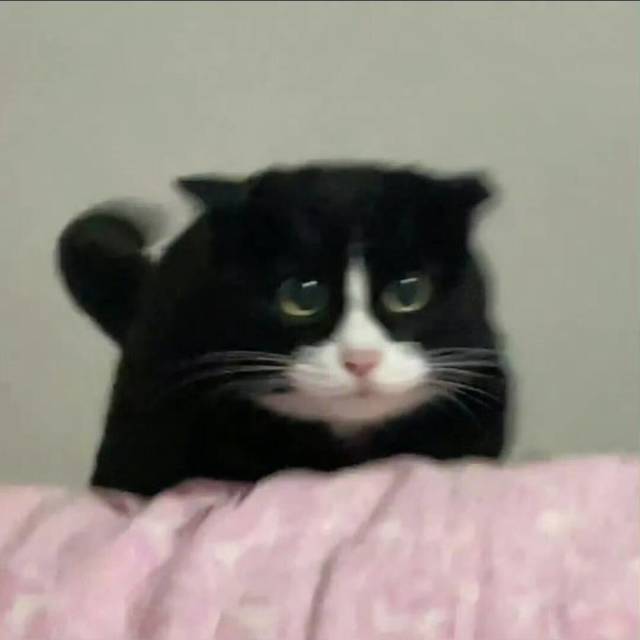 1809040001 