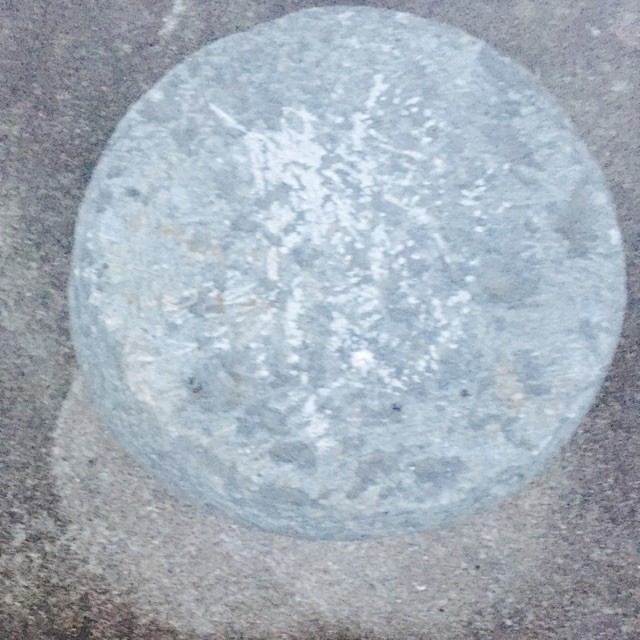 1831512 小米