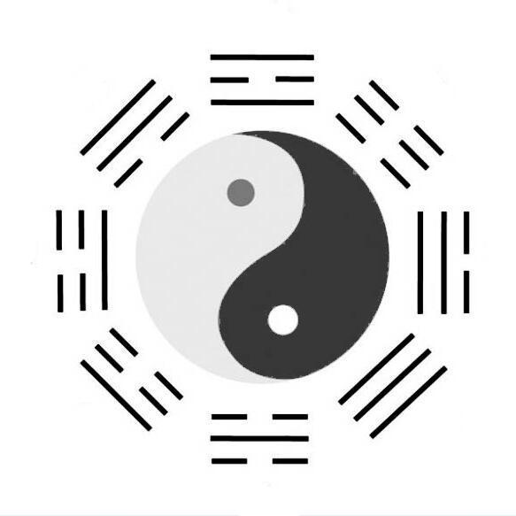 1833562 金厂㊣