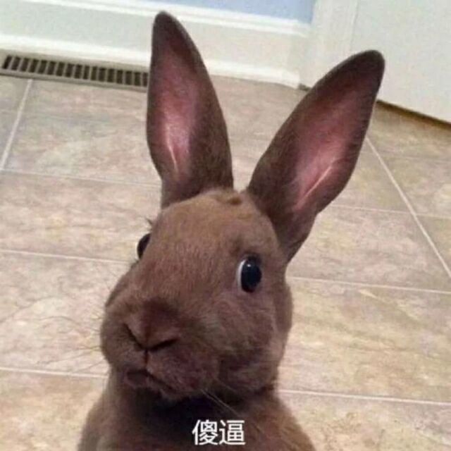 1835559 可爱ớ₃ờ熙