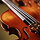 1836521 StringLiao