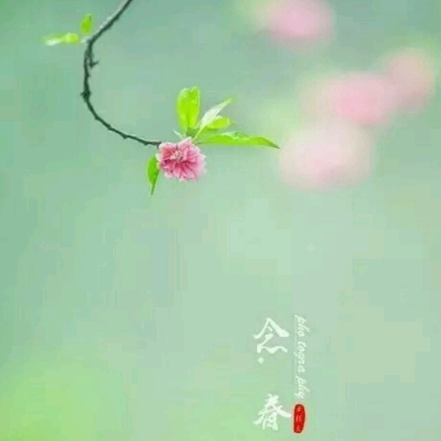 1836606 临雪飞舞