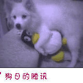 1838816 瑾此一人