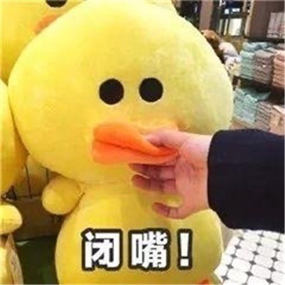 1838822 最美的相遇/hn