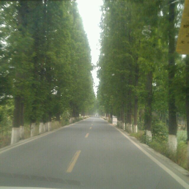 1838995 千山路