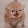 1841240 Oyeah