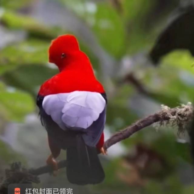 1842261 忆觉