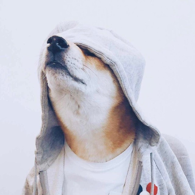 1842481 彦彦彦彦丶
