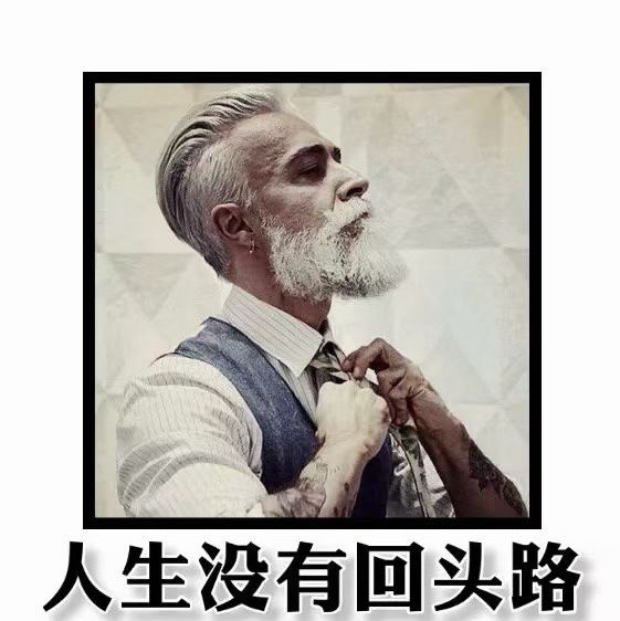 1845233 摇摆的人生