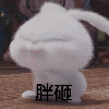 1852553 大胖